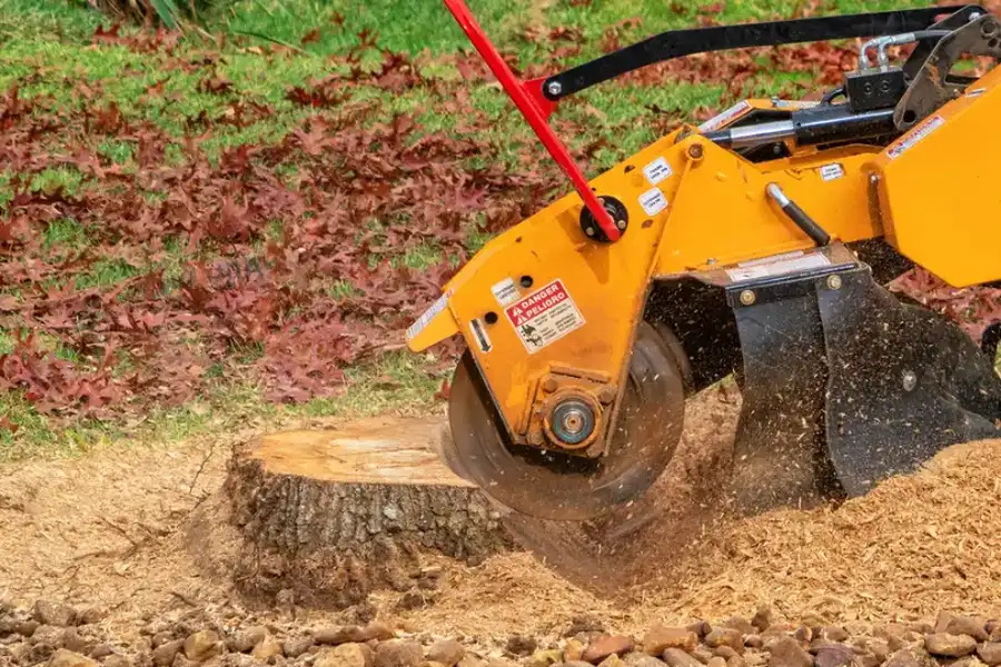 Expert Stump Grinding in St Pauls, NC Expert Stump Grinding in St Pauls, NC