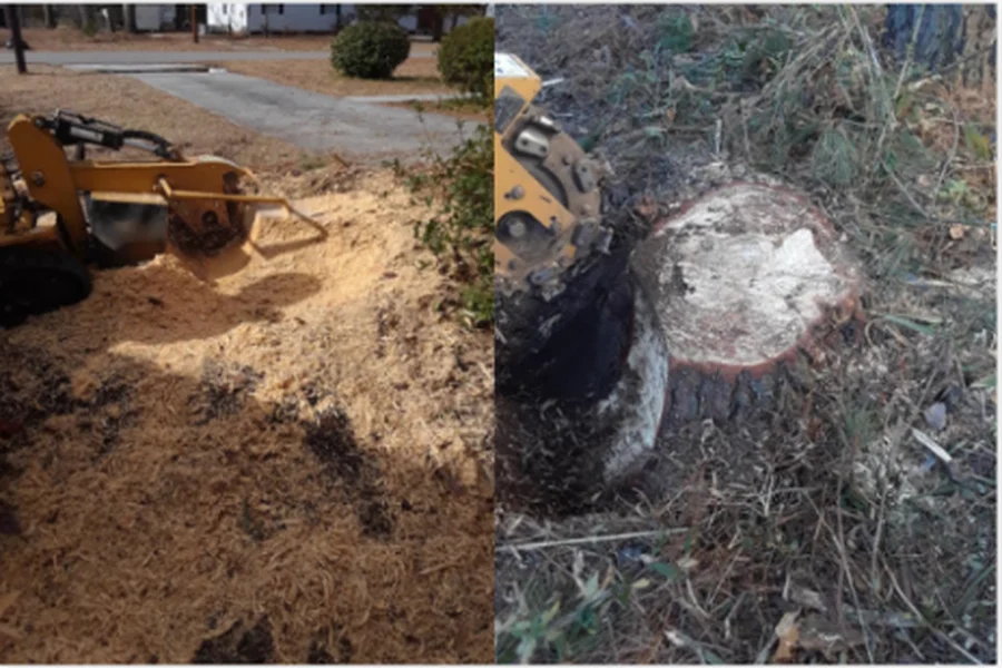 Stump Grinding After the Tree Is Gone