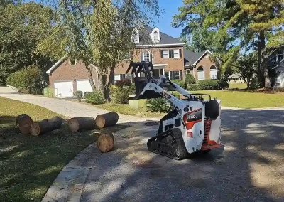 Tree Company
