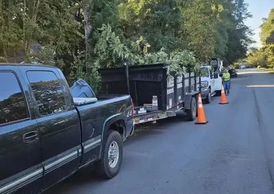 Tree Service