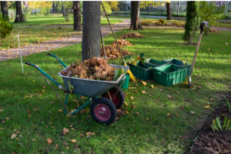 Yard Cleaning When Things Got Messy